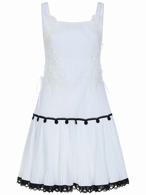 Alberta Ferretti Embroidered Mini Dress