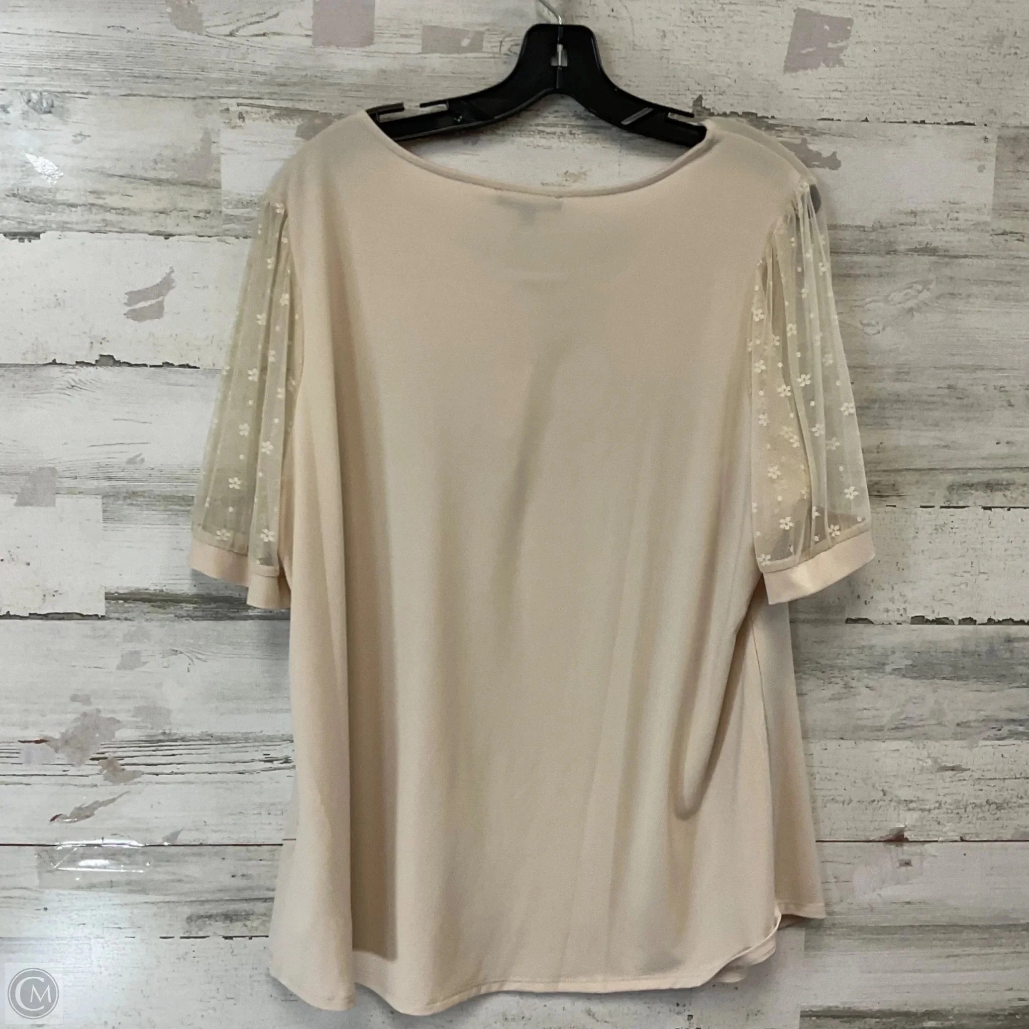 Blouse Short Sleeve By Adrianna Papell In Tan, Size: 1x