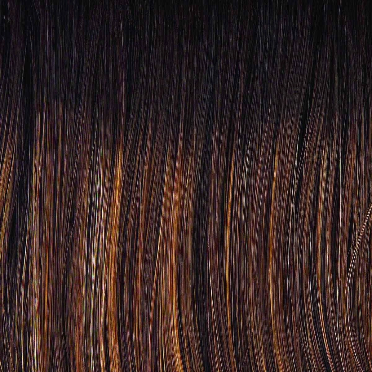 Day to Date Wig by Raquel Welch | Heat Resistant Synthetic Lace Front (Mono Part)