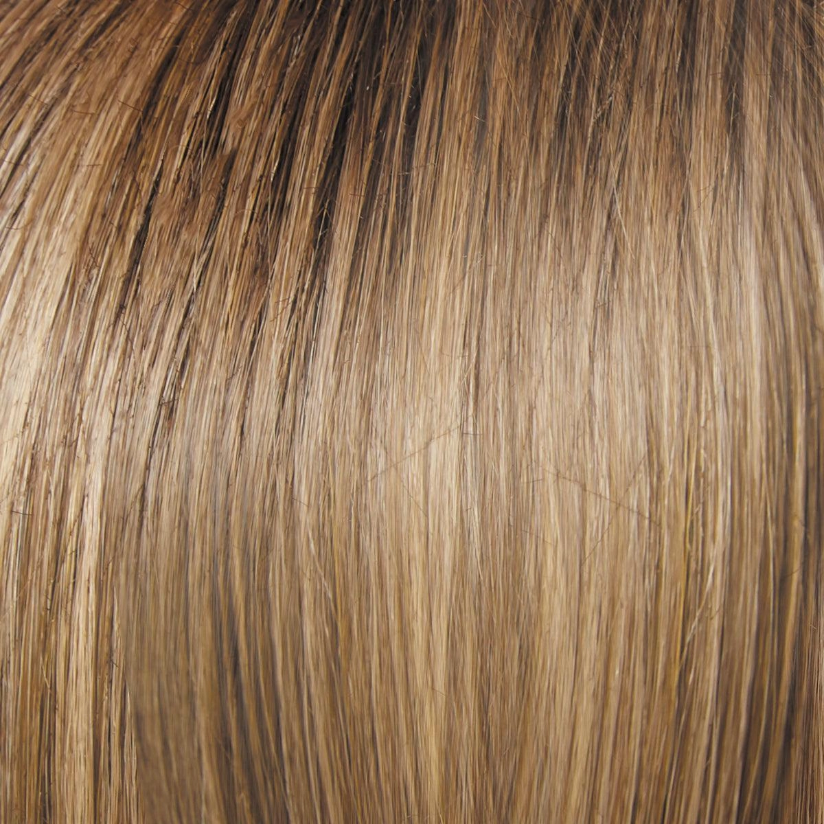 Day to Date Wig by Raquel Welch | Heat Resistant Synthetic Lace Front (Mono Part)