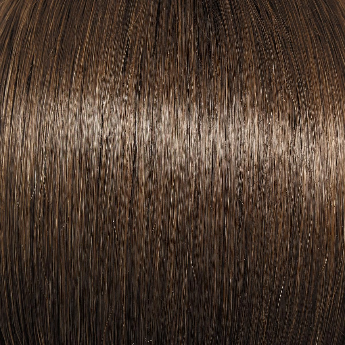 Day to Date Wig by Raquel Welch | Heat Resistant Synthetic Lace Front (Mono Part)