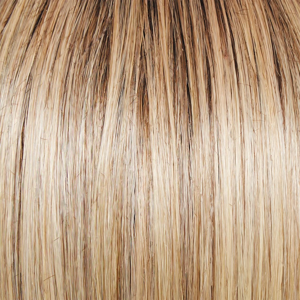 Day to Date Wig by Raquel Welch | Heat Resistant Synthetic Lace Front (Mono Part)