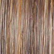Day to Date Wig by Raquel Welch | Heat Resistant Synthetic Lace Front (Mono Part)