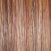 Day to Date Wig by Raquel Welch | Heat Resistant Synthetic Lace Front (Mono Part)