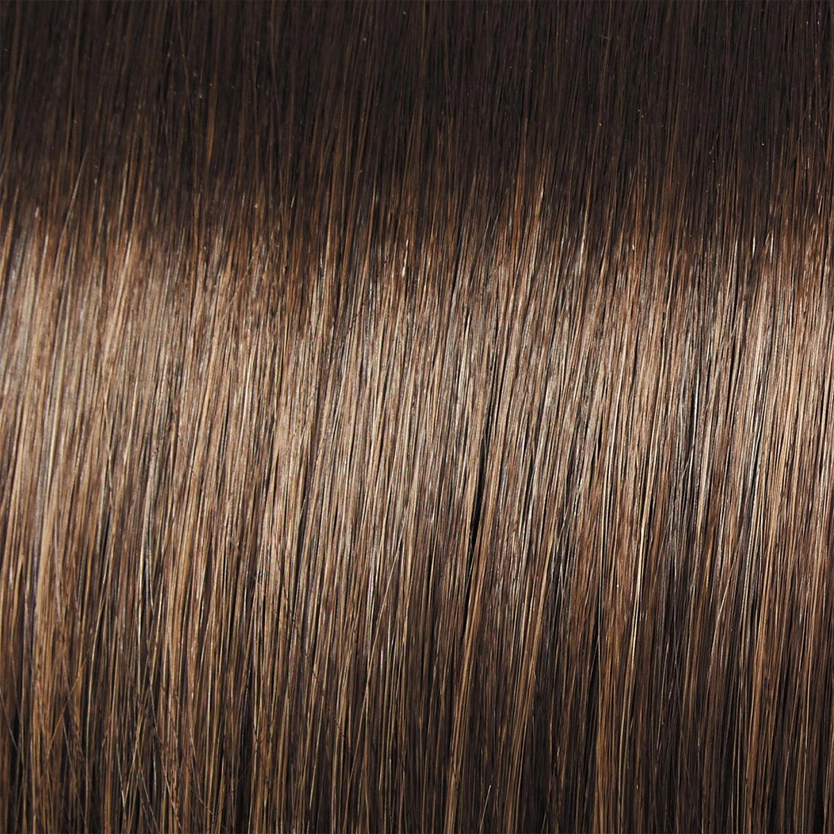 Day to Date Wig by Raquel Welch | Heat Resistant Synthetic Lace Front (Mono Part)