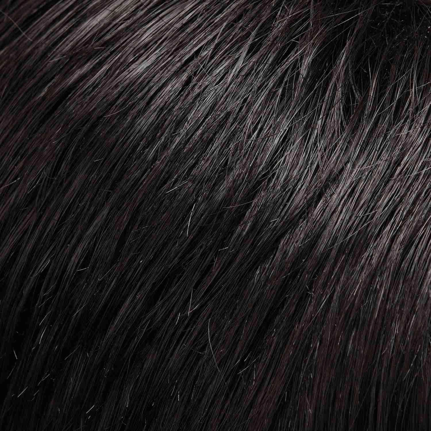 easiVolume 14" by Jon Renau | 100% Human Hair Extension (Clip In)