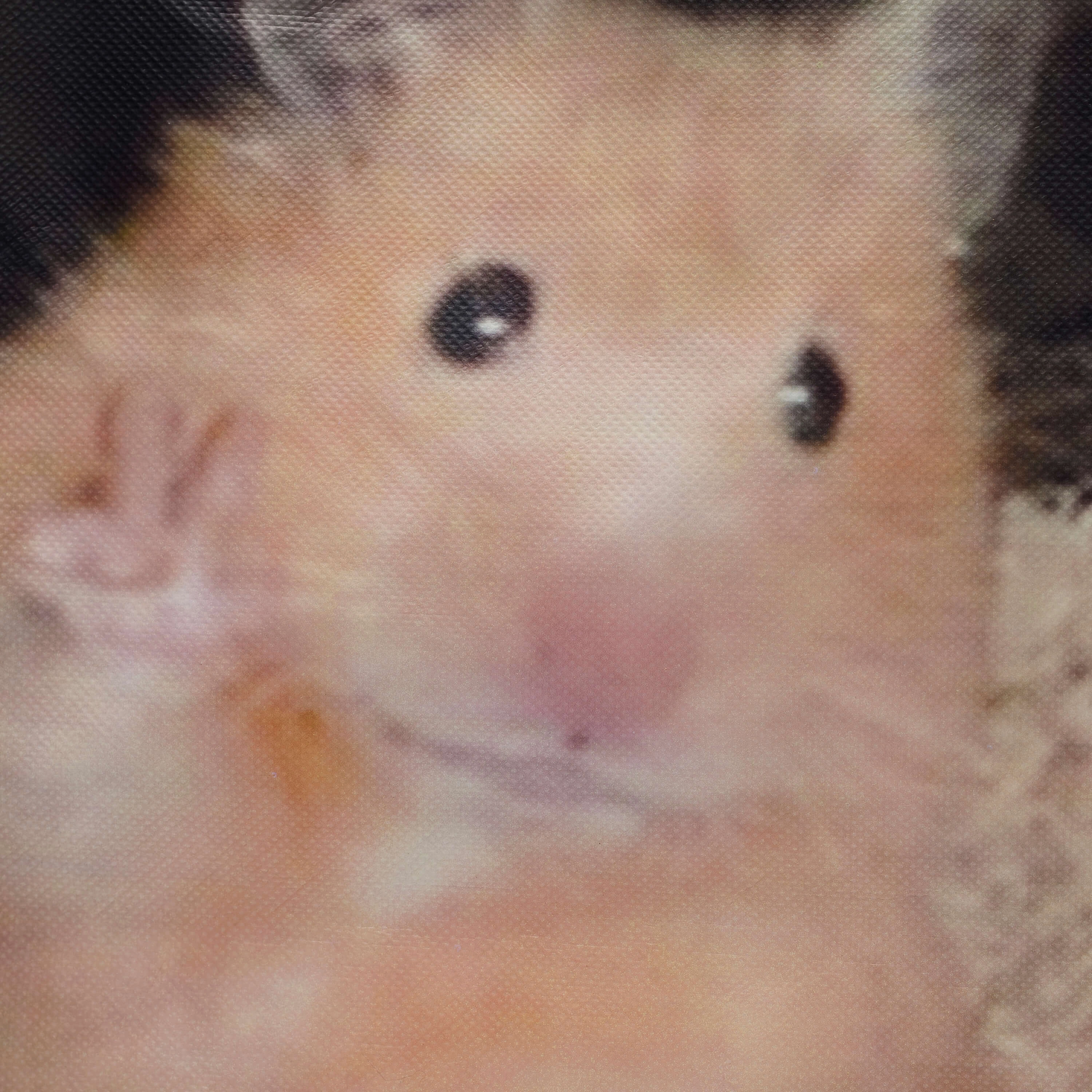 KOI Hamster Tote Bag